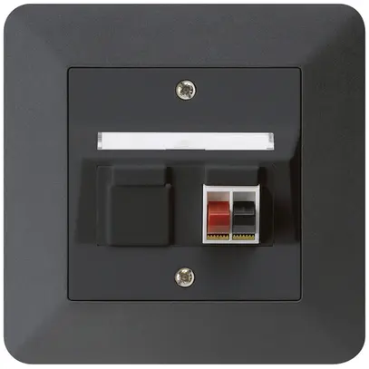 Prise ENC audio kallysto.trend 1×noir borne à étrier pour 1 haut-parleur 