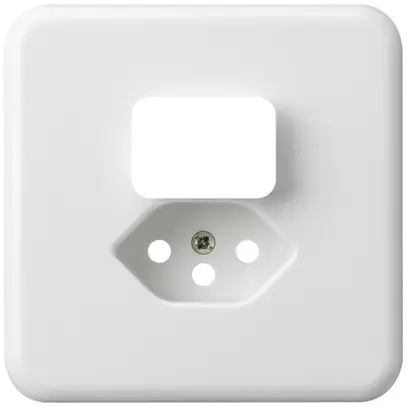 Placca di copertura grd.I. basico bianco per combinazione piccola tipo 13 