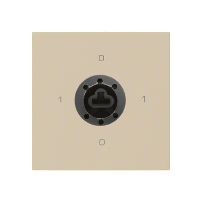 Inserto interruttore chiave kallysto 0/1L beige per blocco sicurezza s.cilindro 