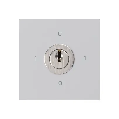 Inserto interruttore a chiave kallysto 0/1L grigio chiaro con serratura Kaba 8 