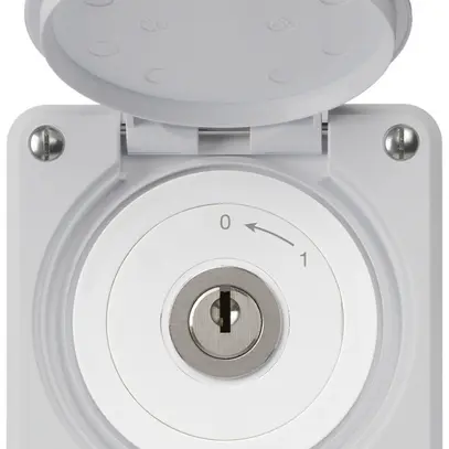 Contact pivotant à clé ENC robusto IP55 gris avec clapet 1P pour combinaison 