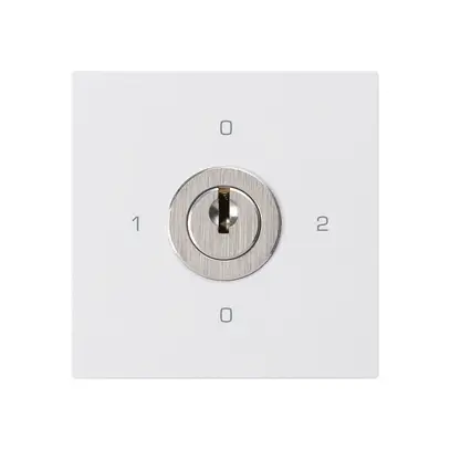 Einsatz zu Schlüsselschalter kallysto 2/1L weiss mit Schloss Kaba 8 