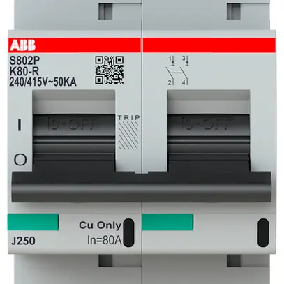 Disjoncteur ABB S802P-K80-R 2P 400V K-80A 50kA 3UM 