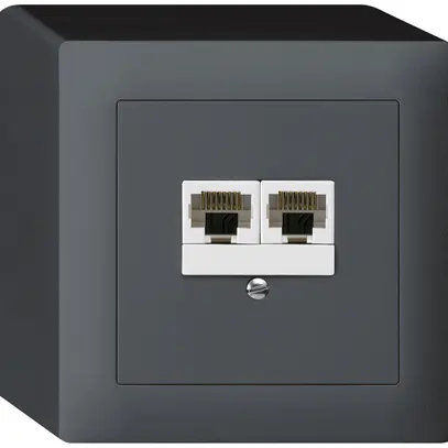 Boîte AP kallysto 2×RJ45u anthracite parallèle 