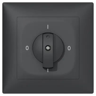 Kit de recouvrement SIDUS pour interr. rotatif anthracite 