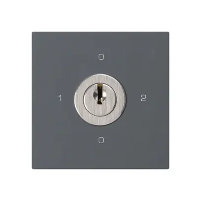 Inserto interruttore a chiave kallysto 2/1L antracite con serratura Kaba 8 