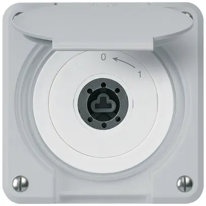 Contact pivotant à clé ENC robusto IP55 gris avec clapet sans cylindre 1P 