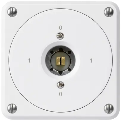 Interruttore a chiave quadrata INC robusto senza coperchio 0/3P bianco 