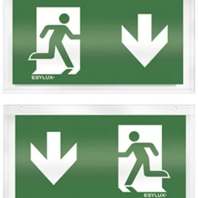 Plaque avec pictogramme ESYLUX pour SLX recto/verso flèche vers le bas/bas 