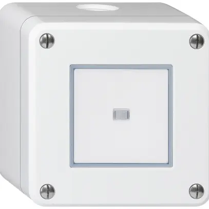 Interruttore AP robusto IP55 schema 3/2P illuminato bianco 