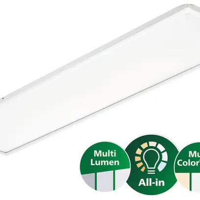 Luminaire panneau LED CoreLine UGR 31W 4300lm 830/835/840 IP20/44 DALI 1195×295 