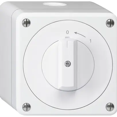 Contatto rotativo AP robusto IP55 bianco 2P 