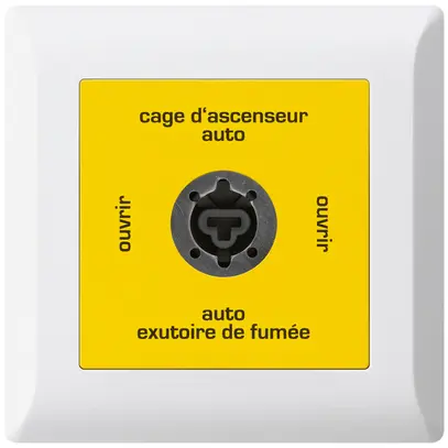 Interruttore a chiave INS kallysto.line per estrattore fumi francese bianco 