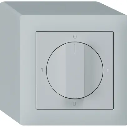 Interrupteur rotatif AP kallysto 1/1L gris clair avec manette 