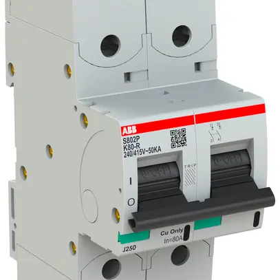 Disjoncteur ABB S802P-K80-R 2P 400V K-80A 50kA 3UM 
