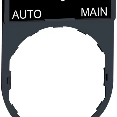 Placchetta Schneider Electric Auto-O-Main 
