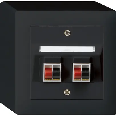 Prise AP audio kallysto 2×noir borne à étrier pour 2 haut-parleurs 