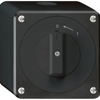AP-Schwenktaster robusto IP55 schwarz 1P 