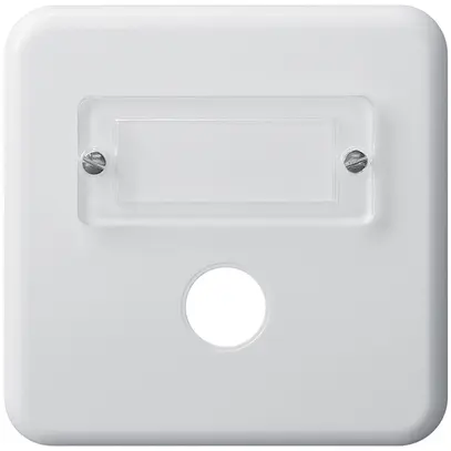 Placca di copertura INC basico I 1×suoneria bianco 