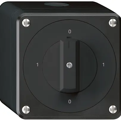 Interrupteur rotatif AP robusto IP55 schéma 0/1P noir 