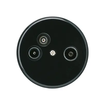 Presa d'antenna TV-R-Dati basico A 2GHz 19db nero 