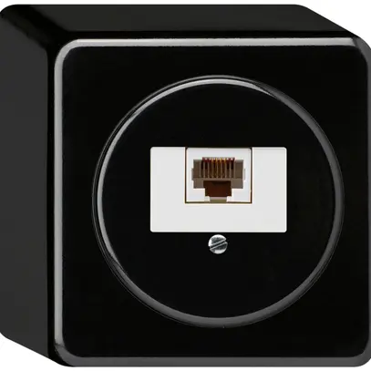 Boîte de raccordement AP basico 1×RJ45u noir 