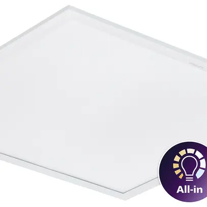 Lampada pannello LED Ledinaire 28W 3400lm 830/840 IP20/40 620×620 bi 