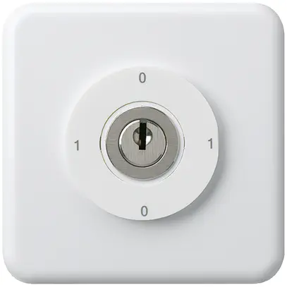 Interrupteur à clé ENC 0/1L blanc basico 