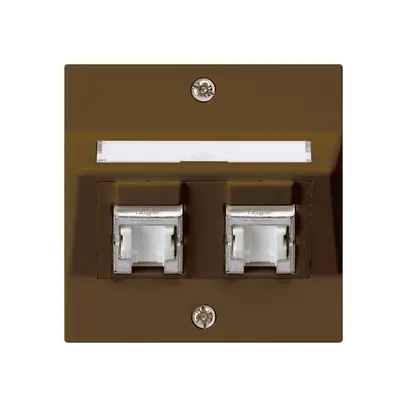 Prise ENC kallysto A cat.6 2RJ45/s brun 