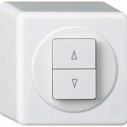 Interrupteur pour stores AP basico blanc avec 2 touches bornes enf. 