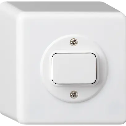 Interruttore AP basico 6/1L bianco 