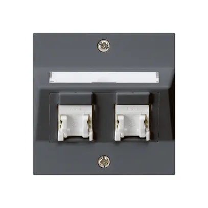 Prise ENC kallysto A cat.5e 2RJ45/u anthracite 