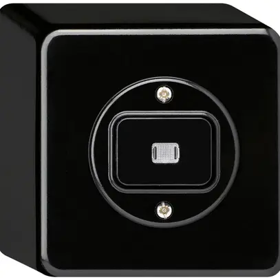 Contact à poussoir lumineux AP basico AR/2L noir 