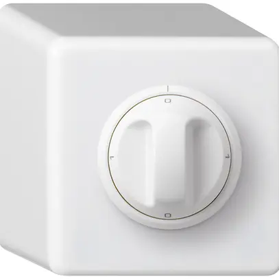 Interruttore rotativo AP basico 1/1L bianco con manopola 