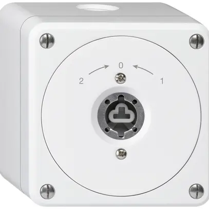 Contact pivotant à clé AP robusto blanc sans clapet sans cylindre invers. 