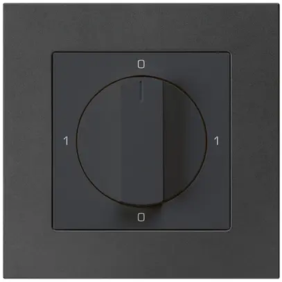 Interruttore rotativo INC kallysto.pro 0/2L nero con manopola 