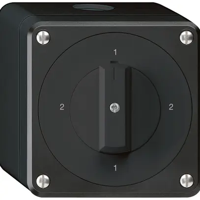 Interruttore rotativo AP robusto IP55 schema 3/1P nero 