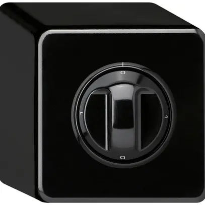 Interruttore rotativo AP basico 1/1L nero con manopola 
