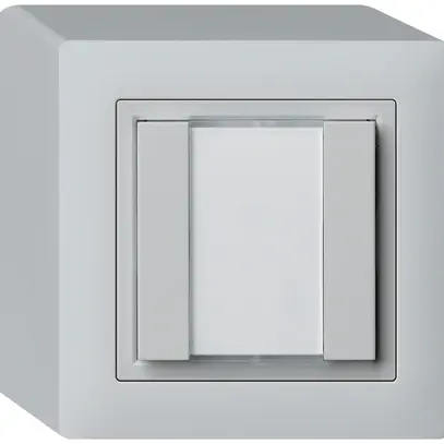 Poussoir universel AP 2×kallysto avec LED gris clair 