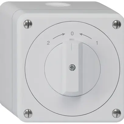 Contact pivotant AP robusto IP55 gris inverseur 