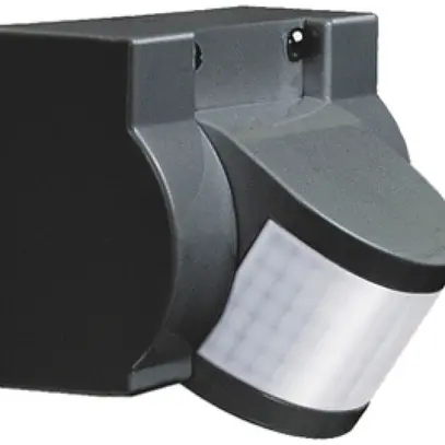 Détecteur de mouvement AP Swiss Garde 2100 IR IP55, noir 