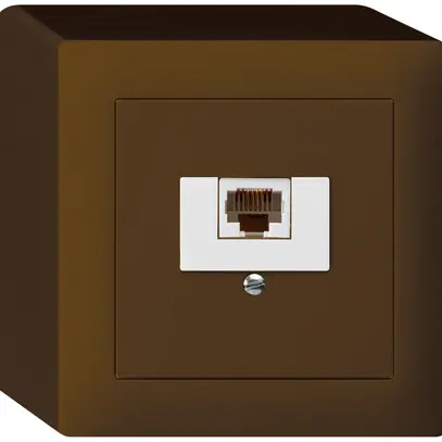 Scatola AP kallysto 1×RJ45u marrone 