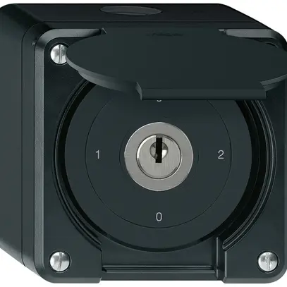 Interrupteur à clé AP avec clapet robusto IP55 S2/1P noir 