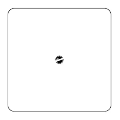 Plaque de recouvrement basico grd.III en isolant blanc sans gravure 