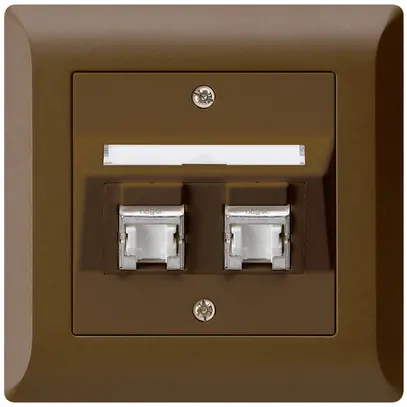 Prise ENC kallysto.line C cat.6 2RJ45/s brun 