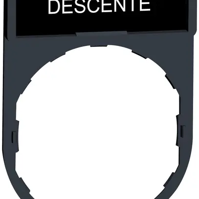 Placchetta Schneider Electric Descente 