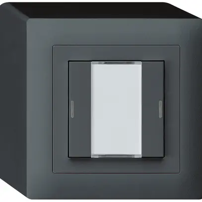 Tasto AP kallysto KNX 2×antracite LED RGB s/e-link 