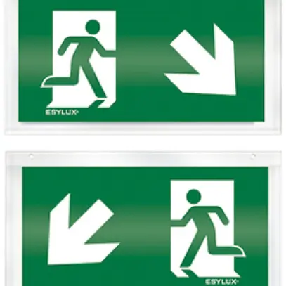 Plaque avec pictogramme ESYLUX pour SLX recto/verso flèche vers le bas d/g 