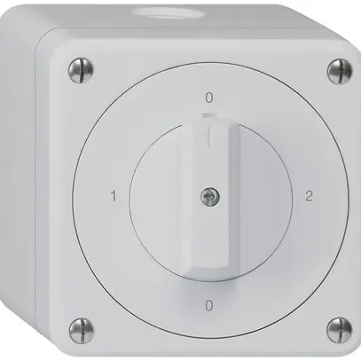Interruttore rotativo AP robusto IP55 schema 2/1P grigio 