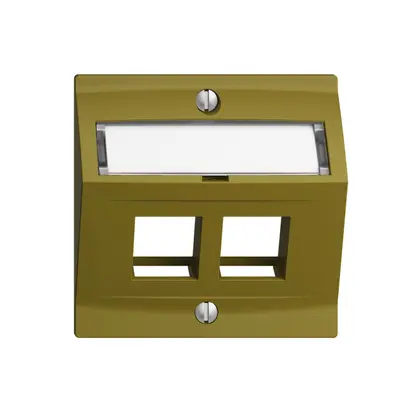 Kit de montage EDIZIOdue F, avec capot de sortie oblique, pour 2×Keystone, olive 